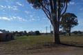 Property photo of 199 Twynam Street Temora NSW 2666