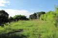 Property photo of 117 McBurney Road Cabramatta NSW 2166