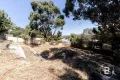 Property photo of 14 Saunders Close Mount Pleasant VIC 3350
