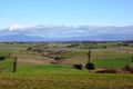 Property photo of 195 White Hills Road White Hills TAS 7258