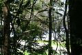 Property photo of 3 Mango Lane Boreen Point QLD 4565