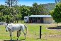 Property photo of 19 Samuel Drive Tallebudgera QLD 4228