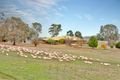 Property photo of 694 Eden Valley Road Mount McKenzie SA 5353