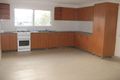 Property photo of 513 Canterbury Road Campsie NSW 2194