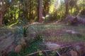 Property photo of 54A Hinemoa Avenue Normanhurst NSW 2076