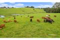 Property photo of 97 McCarthy Road Maleny QLD 4552