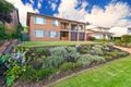 Property photo of 175 River Road Leonay NSW 2750