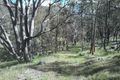 Property photo of LOT 1 Junction Point Road Tuena NSW 2583
