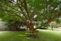 Property photo of 122 Wrenswood Drive Quoiba TAS 7310