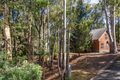 Property photo of 3 Gibbs Court Sawmill Settlement VIC 3723