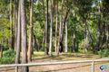 Property photo of 45 Alexander Drive Bermagui NSW 2546
