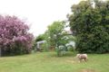 Property photo of 6574 Mid Western Highway Lyndhurst NSW 2797