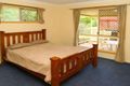 Property photo of 43 Tuckeroo Street Narangba QLD 4504