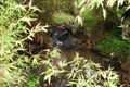 Property photo of 197 Channel Highway Taroona TAS 7053