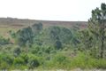 Property photo of 137 Atc Hall Road North Isis QLD 4660