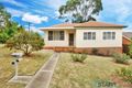 Property photo of 37 Haynes Avenue Seven Hills NSW 2147