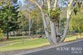 Property photo of 51-61 Noonara Drive Wonglepong QLD 4275