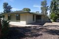 Property photo of 1 Showell Avenue Renmark SA 5341