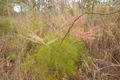 Property photo of 30 Varro Road Lloyd Creek NT 0822