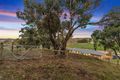 Property photo of 34 Henry Street Taradale VIC 3447