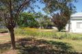 Property photo of 22 Mahonga Street Condobolin NSW 2877