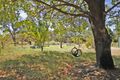 Property photo of 149 Dalgety Road Middle Swan WA 6056