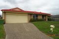 Property photo of 31 Pencarrow Crescent Raceview QLD 4305