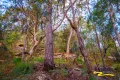 Property photo of 67 Glenworth Valley Road Wendoree Park NSW 2250