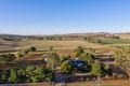 Property photo of 245 Jugiong Road Cootamundra NSW 2590
