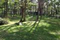 Property photo of 2621 The Lakes Way Bungwahl NSW 2423