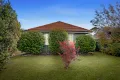 Property photo of 7 Terrigal Street Chadstone VIC 3148
