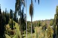 Property photo of 42 Bilin Road Myocum NSW 2481