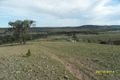 Property photo of 1854 Glenlyon Dam Road Mingoola QLD 4380