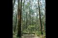 Property photo of 145 David Hill Road Monbulk VIC 3793