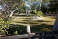 Property photo of 9 Cerebus Court Cooloola Cove QLD 4580
