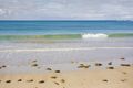 Property photo of 25 Attunga Drive Torquay VIC 3228
