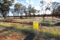 Property photo of 65 Murweh Drive Charleville QLD 4470