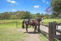 Property photo of 10 Green Valley Way Piggabeen NSW 2486