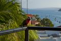 Property photo of 8/8 Marathon Road Darling Point NSW 2027