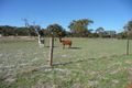 Property photo of 15 Sabre Close Bullsbrook WA 6084