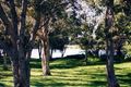 Property photo of 1 Thalan Court Wurtulla QLD 4575