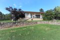 Property photo of 31 Lawrence Street Cootamundra NSW 2590