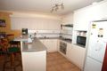 Property photo of 30 Leabons Lane Seven Hills NSW 2147
