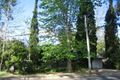 Property photo of 42 Ada Avenue Wahroonga NSW 2076