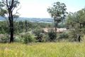 Property photo of 29 Delaware Drive Macquarie Hills NSW 2285