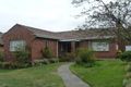 Property photo of 19 Dion Street Glen Iris VIC 3146