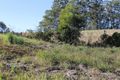 Property photo of 3 Red Gum Crescent Bellingen NSW 2454