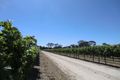 Property photo of 63 Menge Road Tanunda SA 5352