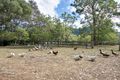 Property photo of 1553 Singleton Road Singletons Mill NSW 2775