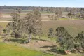 Property photo of 108 Dergholm Road Penola SA 5277
